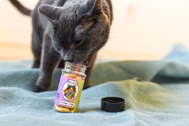 CBD para mascotas