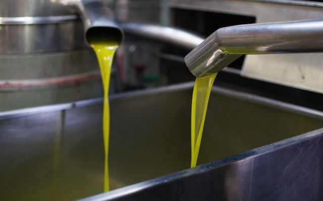 Extracción de CBD con aceite portador