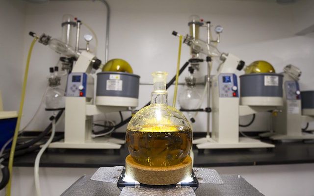 Extracción de CBD con etanol, extracción de CBD con alcohol de grano