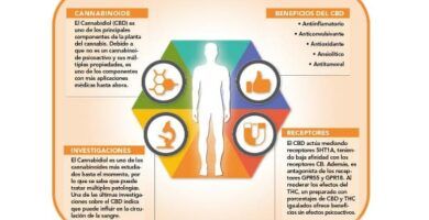 CBD para ansiedad
