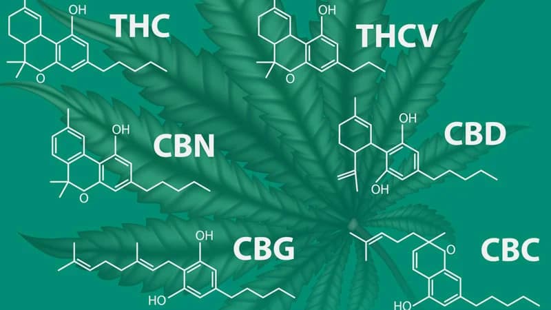 Clases Cannabinoides CBN CBG CBD CBC