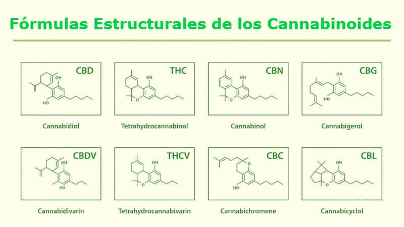 Estructura cannabinoide