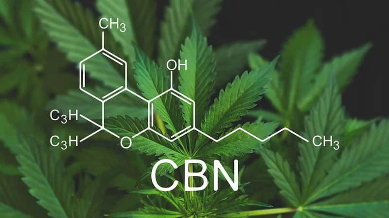 Qué es CBN