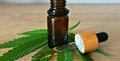 cbd-longevidad-antienvejecimiento