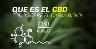 como-ayuda-el-aceite-de-cbd-a-las-personas-con-estres