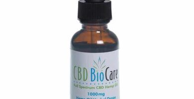 conceptos-basicos-de-cbd-todo-sobre-el-aceite-de-cbd