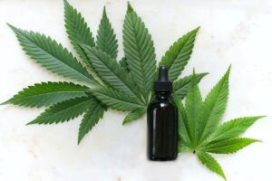 Propiedades médicas del cbd y sus aceites