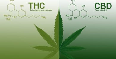 informacion-sobre-el-aceite-de-cbd
