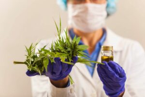 Invetigacion de cbd