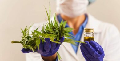 invetigacion y cbd
