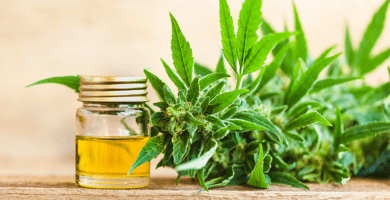 Usos comunes de aceite de CBD natural