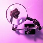 terpenos y Cannabinoides